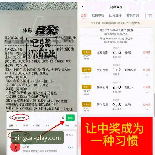 杏彩体育平台安全吗 揭秘杏彩体育平台安全吗?资深行业观察者的深度分析与实用建议